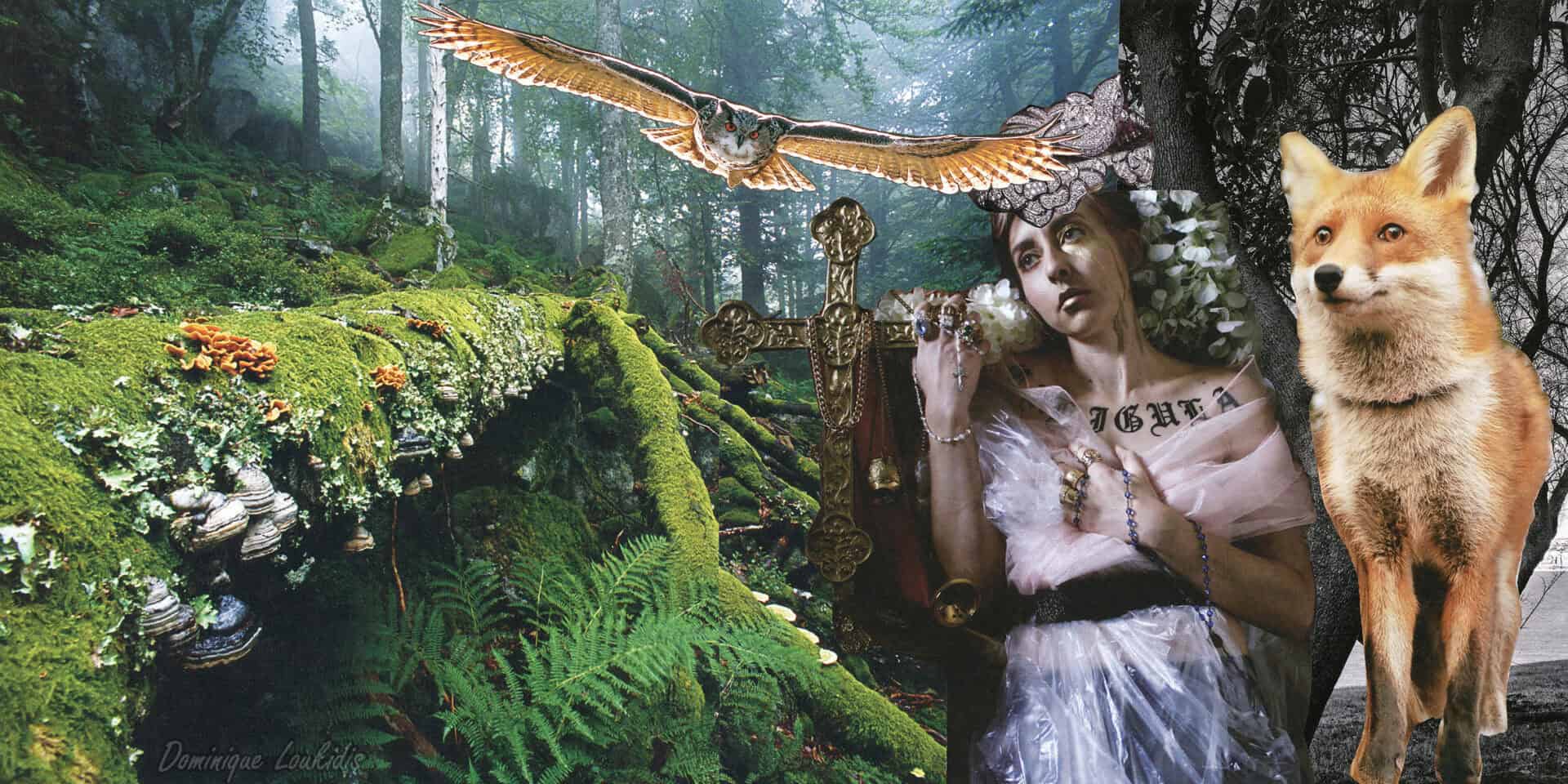 Oiseau de nuit, forêt enchantée, arts spirituels, Yantras, nature sauvage, exploration mystique, animaux sauvages, art visionnaire.