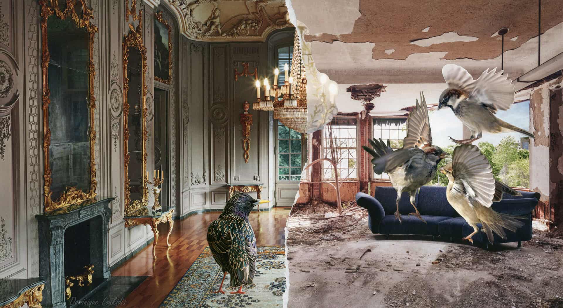 Ancien salon restaur&eacute; avec ornements dor&eacute;s et mobilier &eacute;l&eacute;gant - contrast&eacute; par une pi&egrave;ce abandonn&eacute;e avec oiseaux en vol.