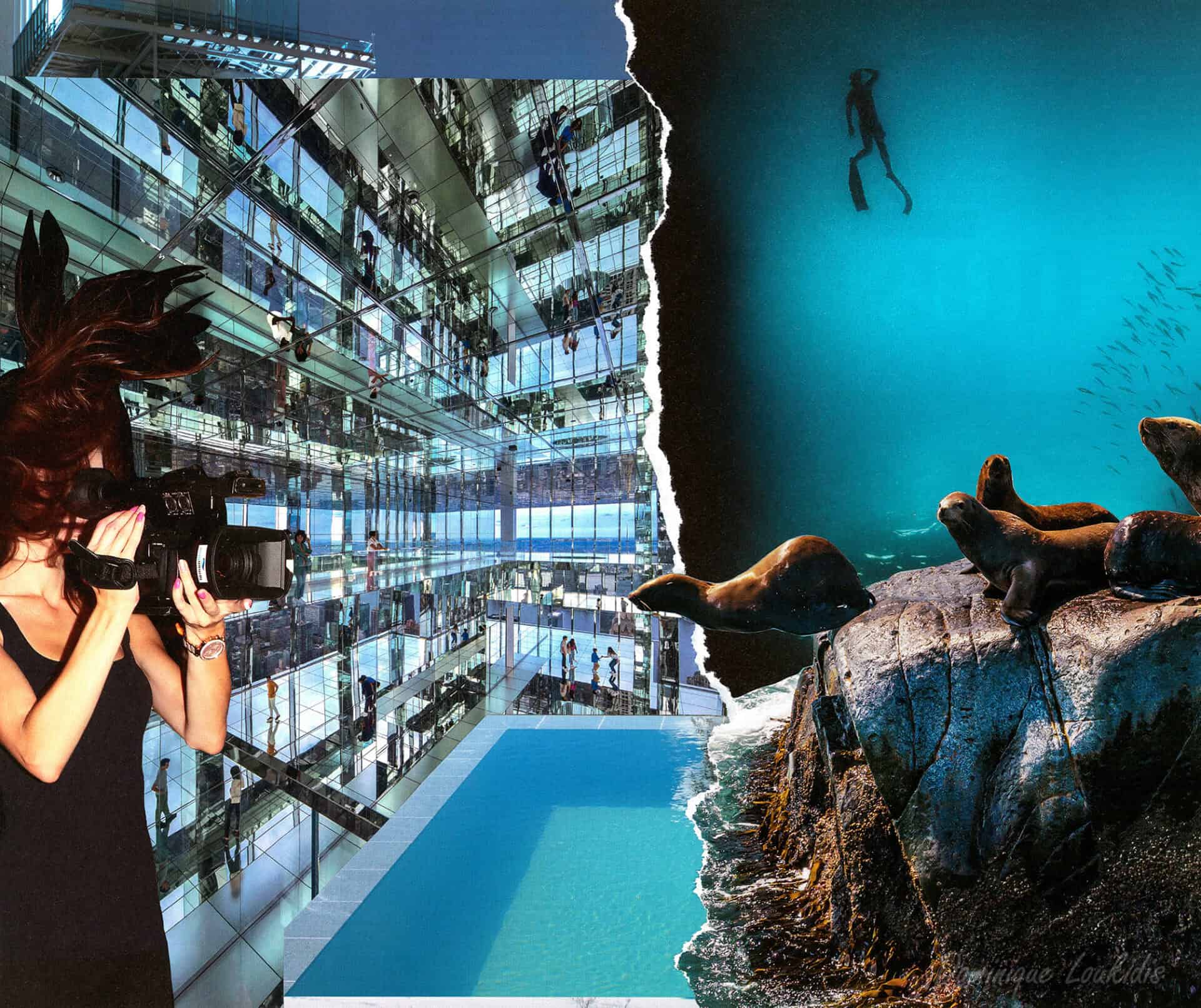 Explorez la photographie de Dominique Loukidis capturant la vie urbaine et la faune marine dans une seule image dynamique.